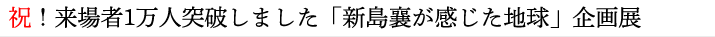 見出し大2