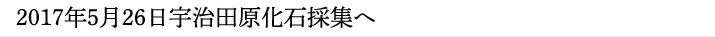 見出し大2