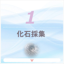 サンプルイメージ小１